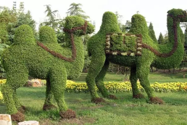 武威綠色雕塑：突破“鋼材加水泥”城市化的藝術